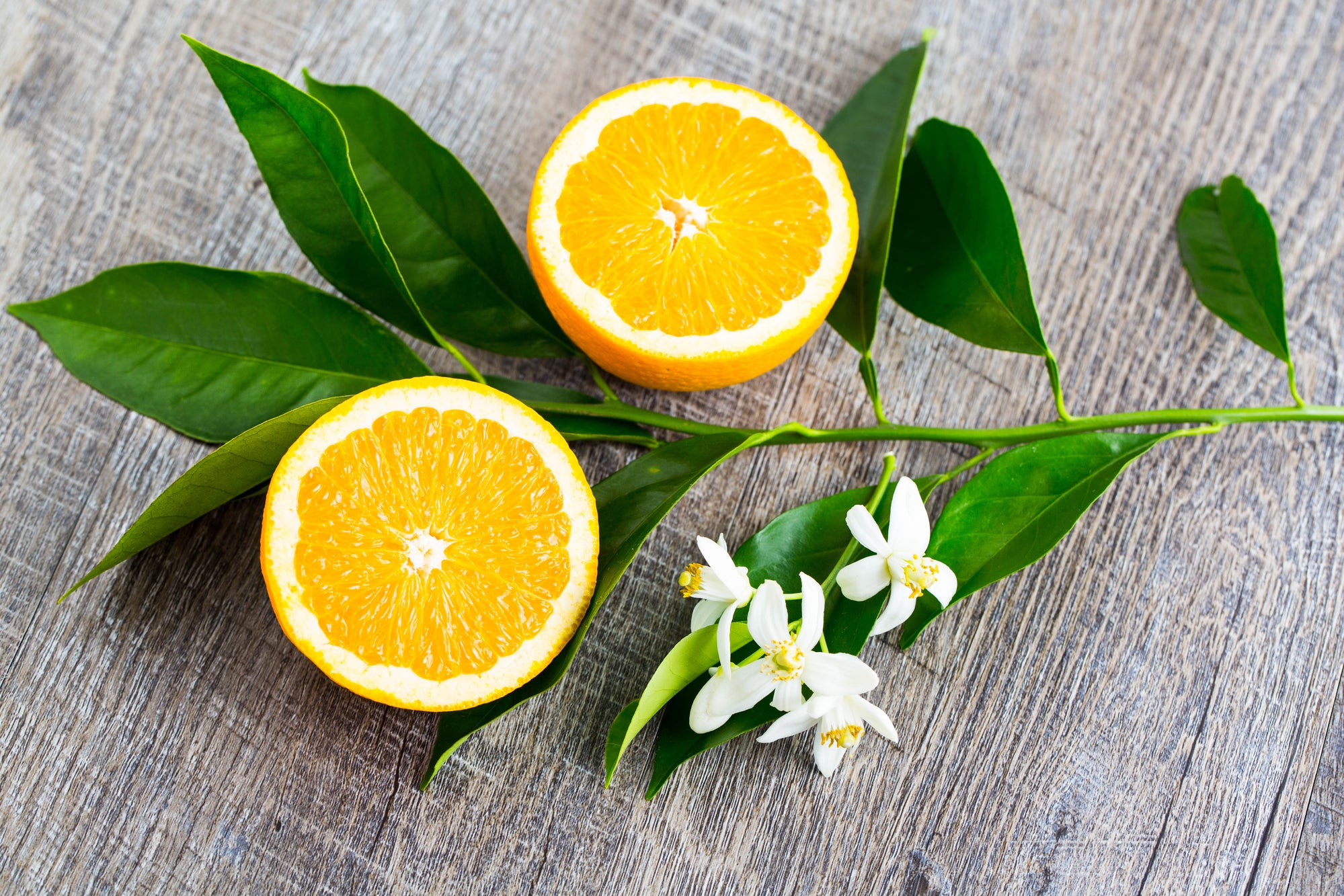 【未開栓】1963年 リスト・デュペロン アルマニャック コレクターズボトル Best Neroli & Orange Blossom Fragrances – DecantPlanet
