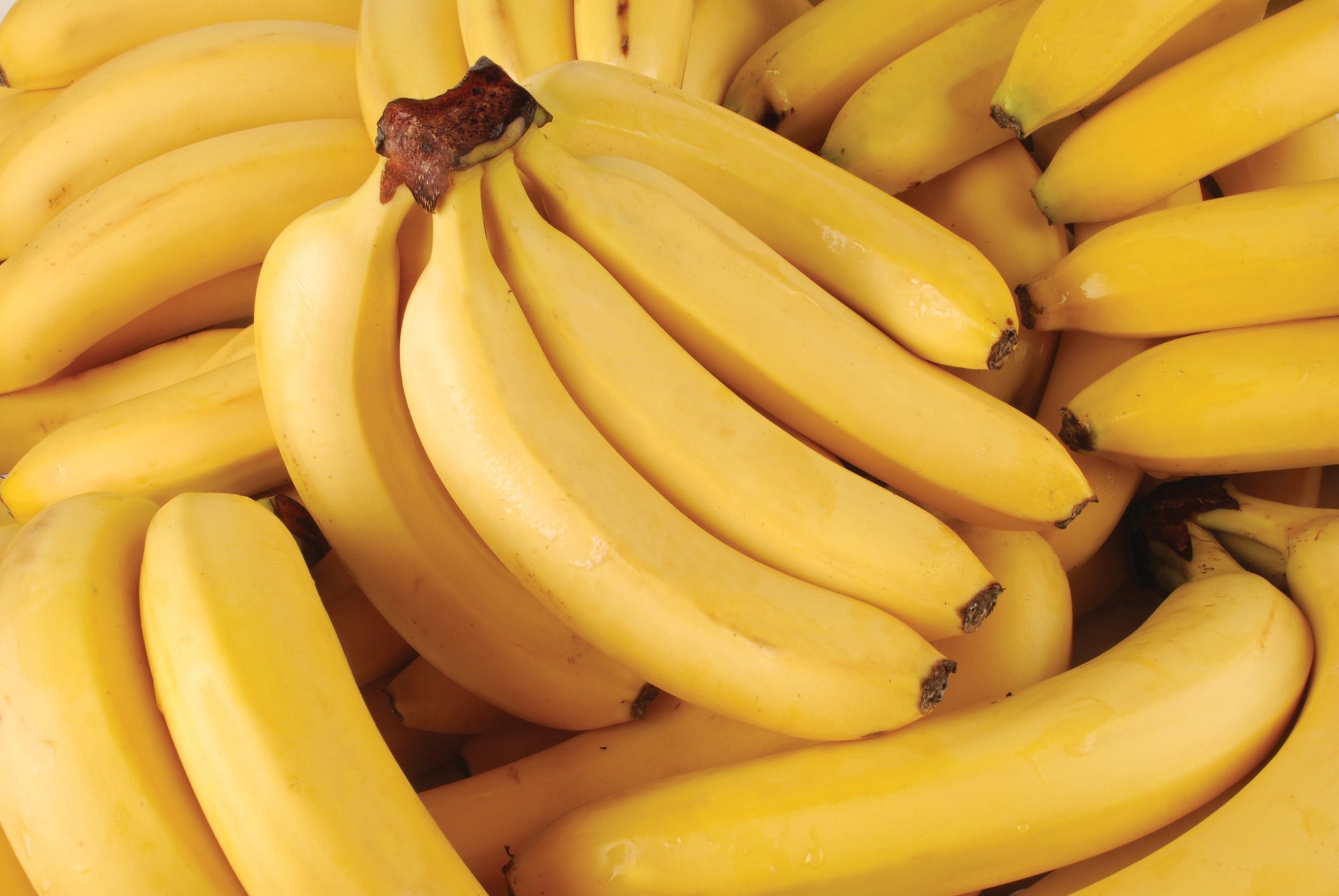 Best Banana Fragrances