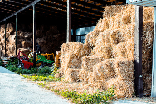 Best Hay Fragrances