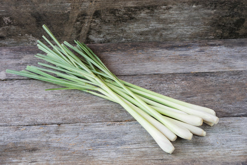 Best Lemongrass Fragrances