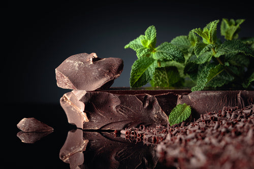 Best Mint Chocolate Fragrances