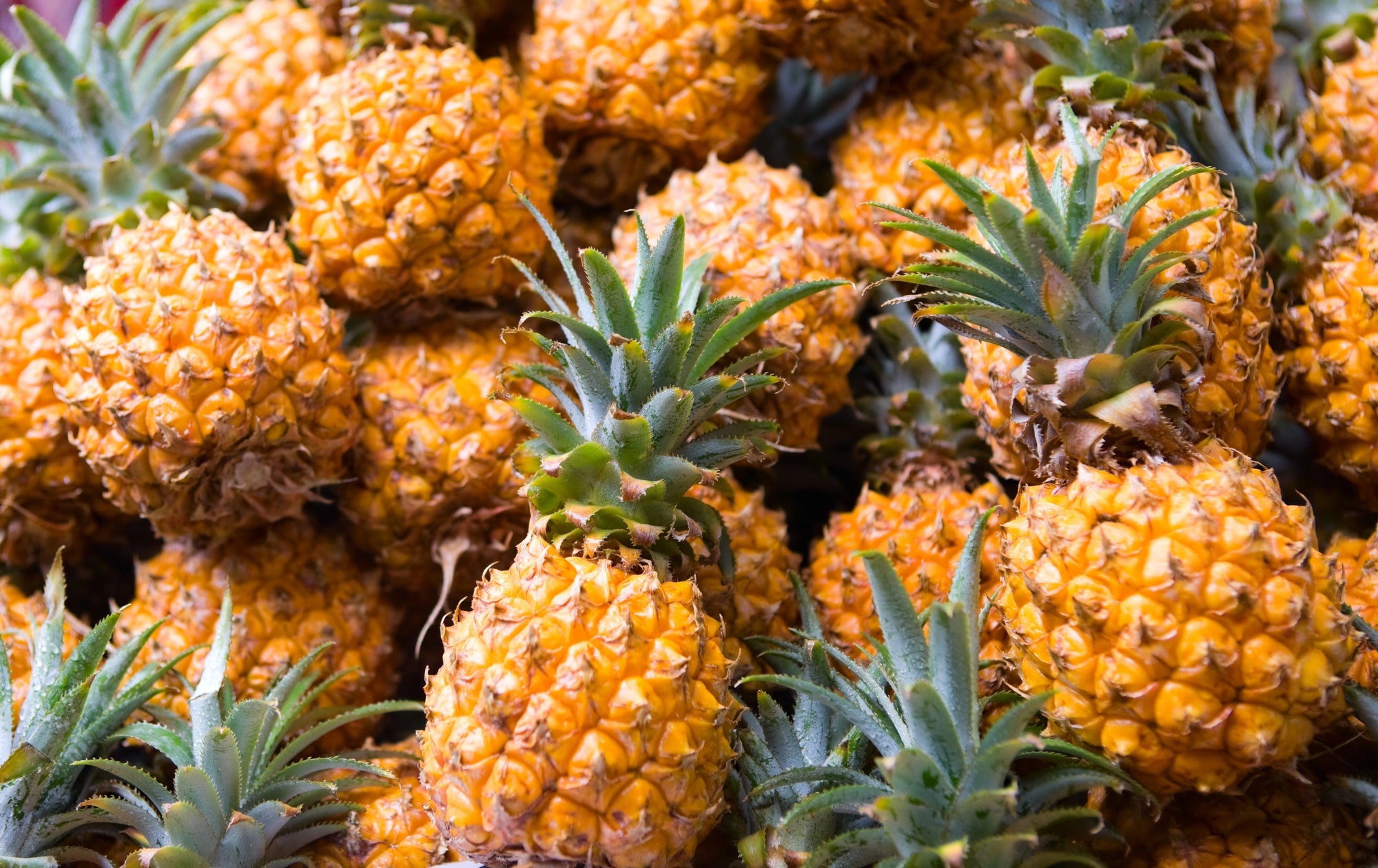 Best Pineapple Fragrances