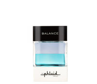 The Phluid Project Balance Sample