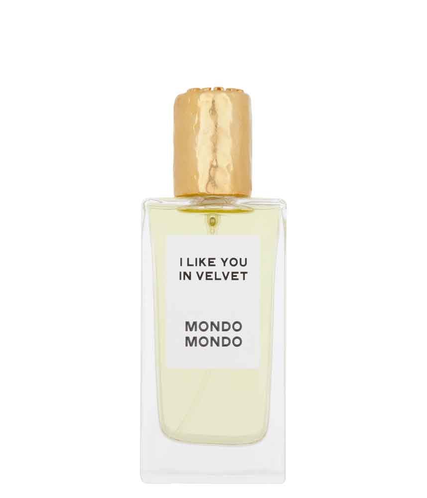 Mondo Mondo I Like You in Velvet Sample
