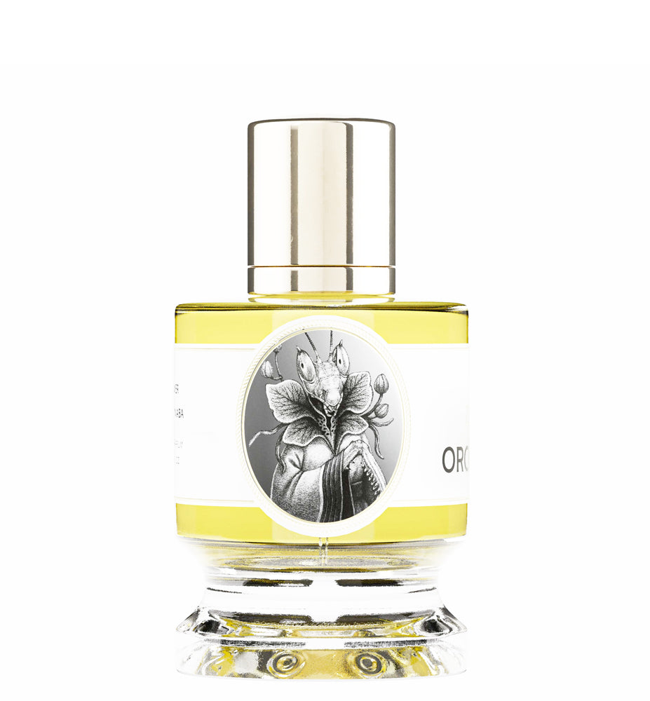 Zoologist Orchid Mantis Sample