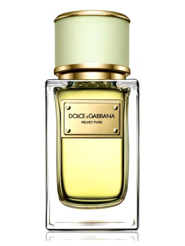 Dolce & Gabbana Velvet Pure Sample