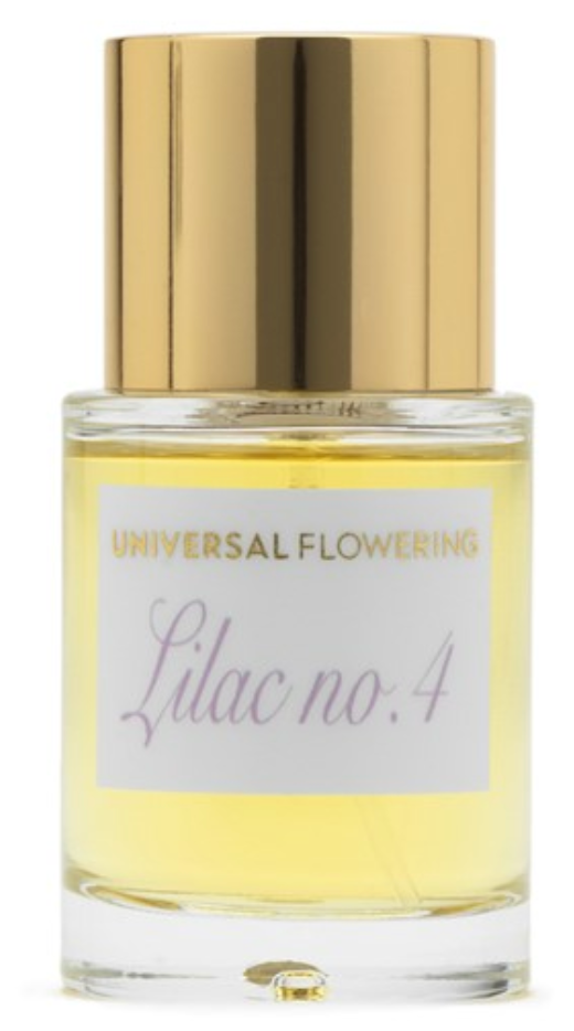 Universal Flowering Lilac No. 4 Sample